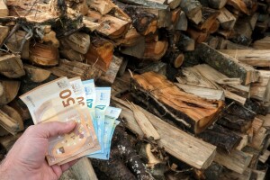 Trebate još drva za ogrjev? Provjerili smo kako se kreću cijene