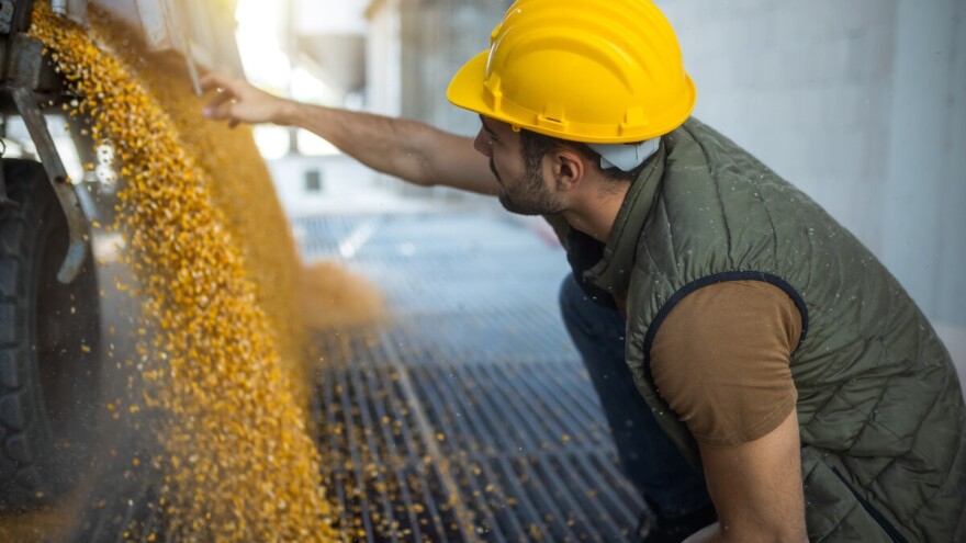 Cene žitarica u 2026.: Kukuruz skuplji od pšenice, tržište pod pritiskom geopolitike