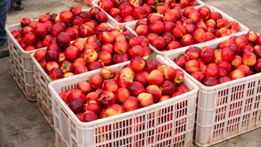 Pao i srpski državljanin: Kokain prevozili pod maskom transporta nektarina