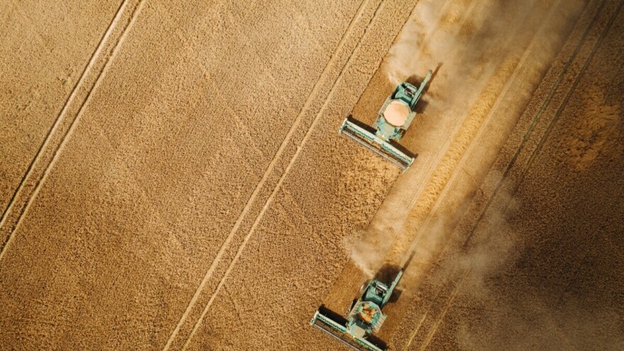 Kina planira da poveća proizvodnju žitarica i uljarica za 50 miliona tona