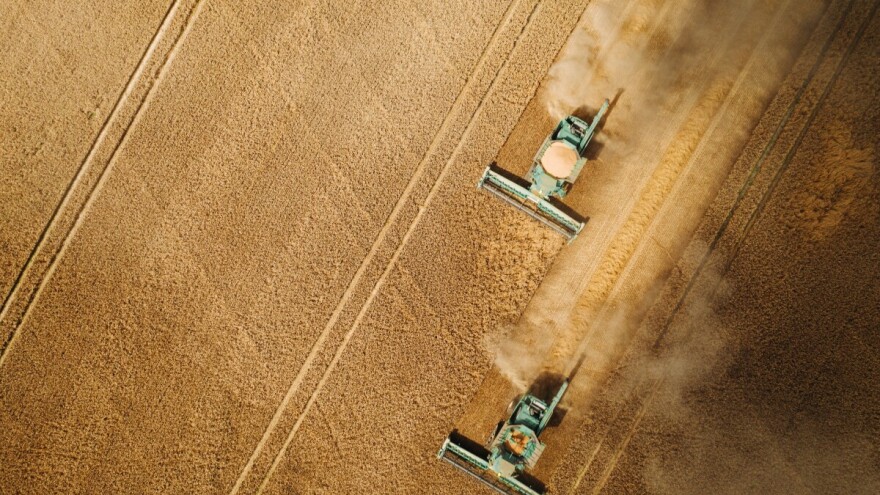 Kina planira povećati proizvodnju žitarica i uljarica za 50 milijuna tona