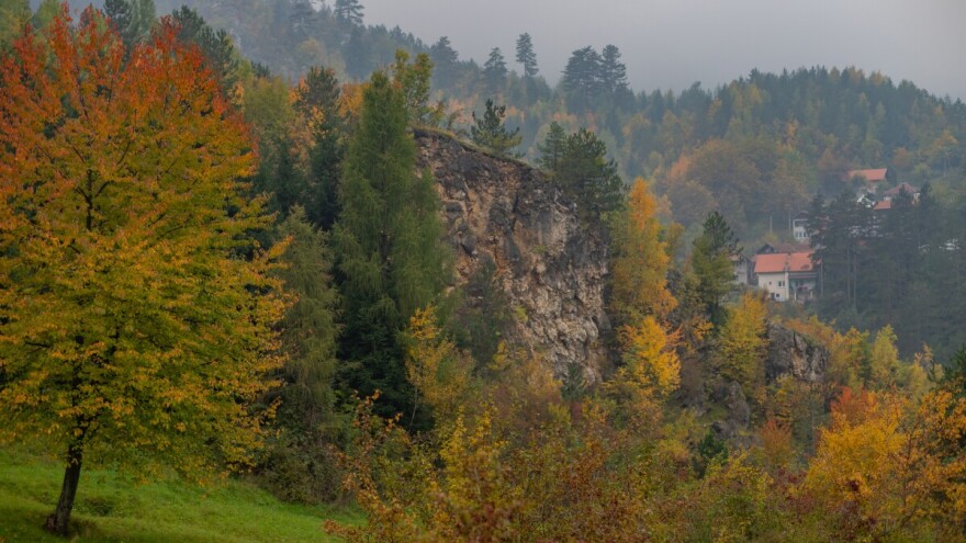 Prijavite se na prvu stručnu konferenciju o očuvanju tla i šuma u BiH