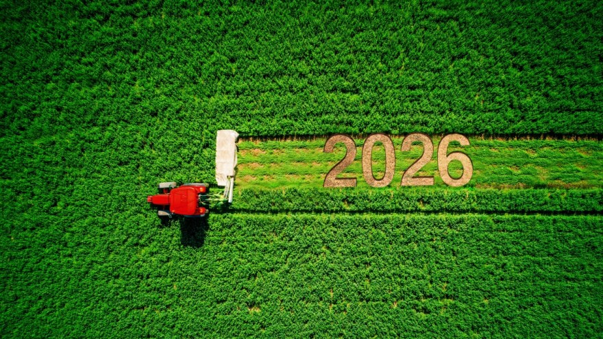 Novi ministar, novi ZPP, stare bolesti i stari problemi - zbogom 2025.