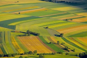 U ARKOD-u imate upisano privatno zemljište bez pravovaljane dokumentacije? Provjerite Agronet