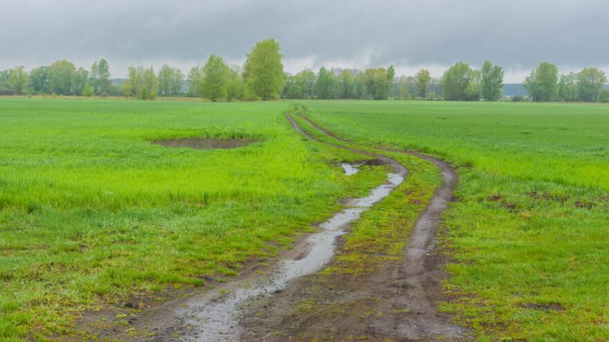 Proljeće na klimavim nogama: Rast usjeva, ali i pritisak štetočina