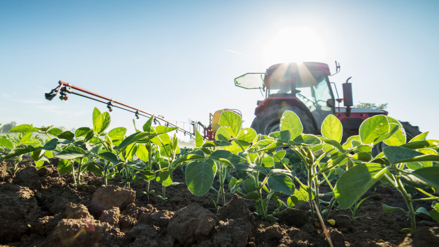 Primena azotnog đubriva na moderne sorte soje dovedena u pitanje?