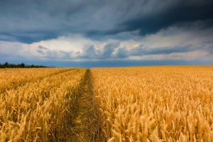 Kakvo nas leto čeka? Objavljena sezonska prognoza poznatog prognostičkog centra
