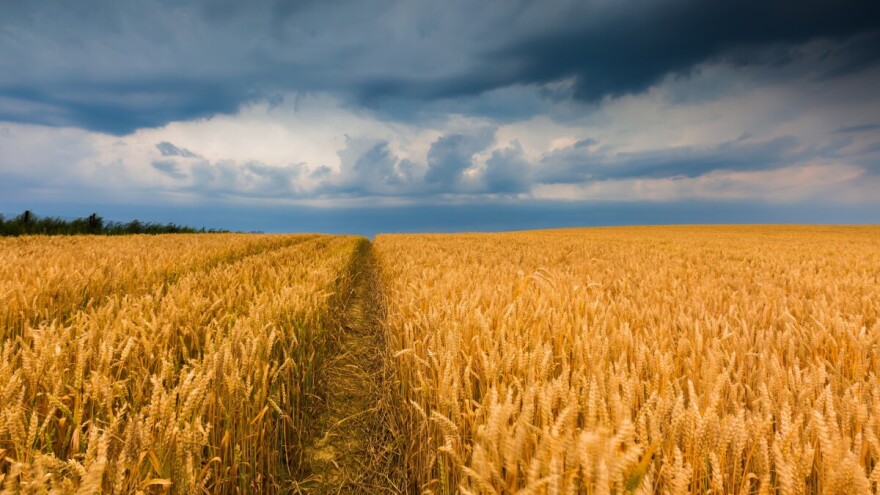 Kakvo nas leto čeka? Objavljena sezonska prognoza poznatog prognostičkog centra