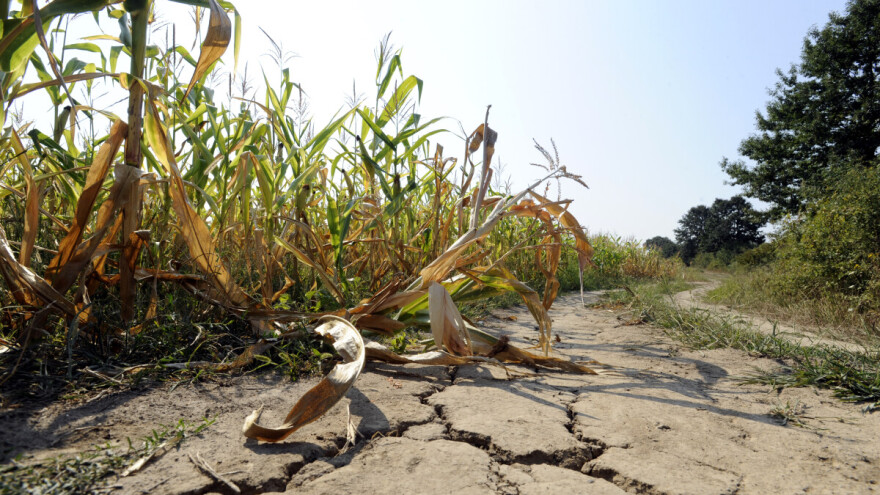 Objavljen prvi natječaj za intervenciju 73.02. za obnovu poljoprivrednog potencijala