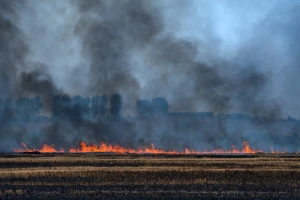 Ruski dronovi pale ukrajinska polja: Izgorjelo najmanje 15.000 hektara pšenice