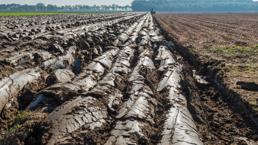 Zanemarivanje zdravlja tla imat će sve veće posljedice na poljoprivredu