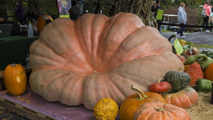 Prijavite se za 19. Tovarnički jesenski festival, bogate nagrade za natjecatelje i izlagače