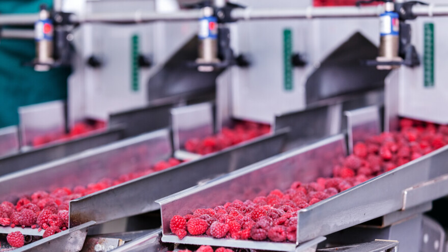 Martinović pozvao otkupljivače malina da proizvođačima doplate razliku do 300 dinara