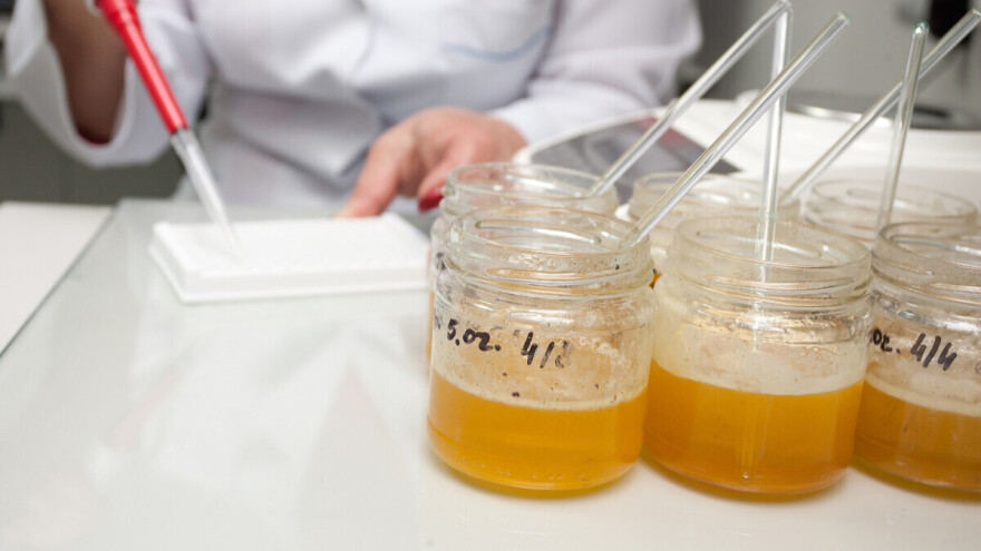 Naučnici otkrili nove metode otkrivanja lažnog meda - bez otvaranja tegle