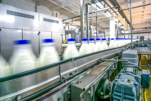 Vanredna inspekcija: Nema zloupotreba mleka u prahu u UHT mleku kod tri proizvođača