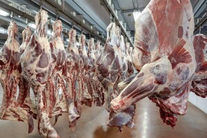 Kina odbila uvoz govedine iz SAD-a, godišnji gubitak 4 milijarde dolara