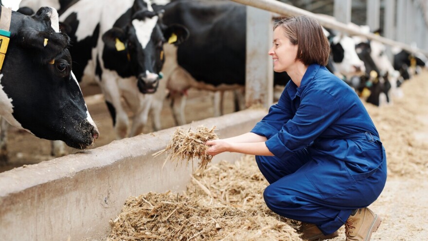 Prijavite se: Podrška ženama na selu do 500.000 dinara