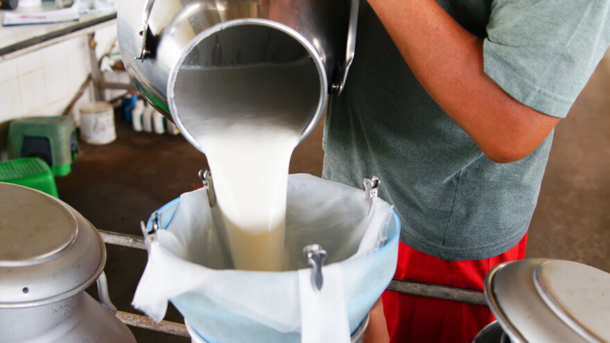 Uključite se u e-Savjetovanje o 24 milijuna eura vrijednom programu potpore za sektor mlijeka