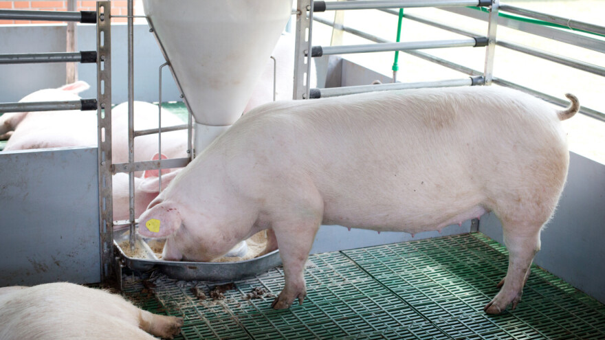 Otvoren javni poziv za nabavku opreme za stočarsku proizvodnju