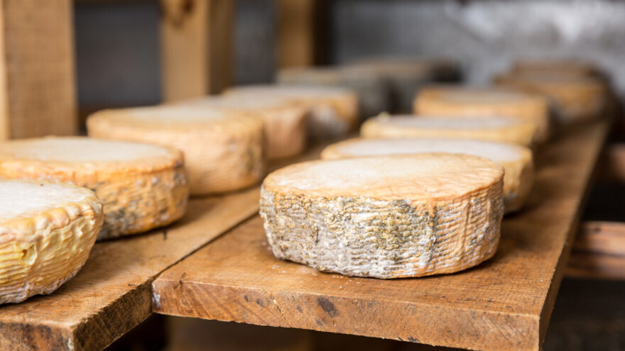 Vrijeme je za ocjenu kozjeg sira: Dostavite uzorke