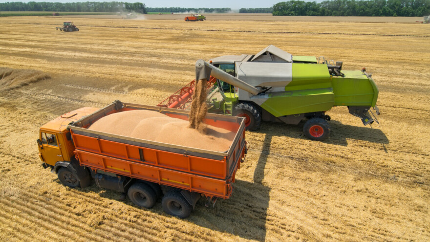 Ruska pšenica ugrožava europsku - sljedeći tjedni su ključni