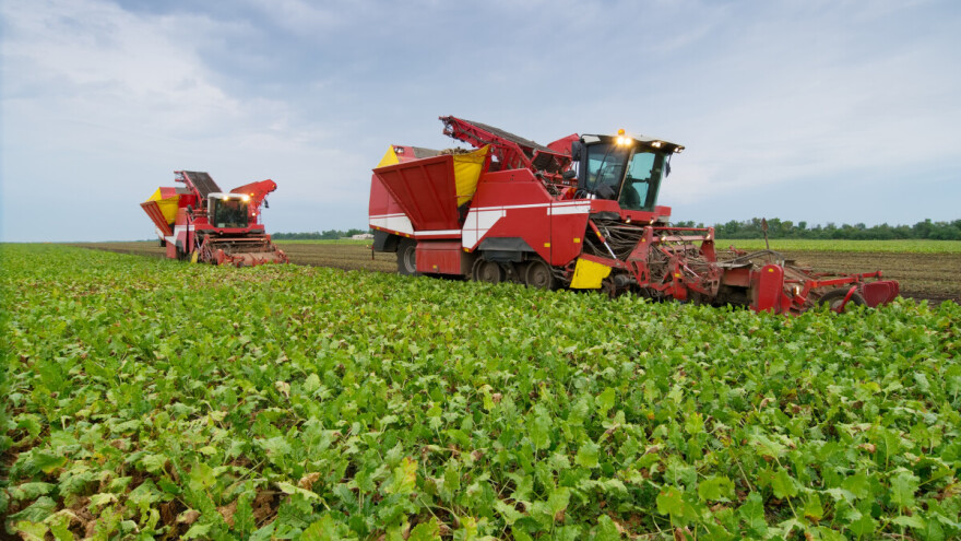 Najveći evropski proizvođač šećera značajno smanjio prognozu zarade