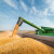 Europski uvoz kukuruza je ove godine započeo intenzivnije - tko je najvažniji dobavljač?