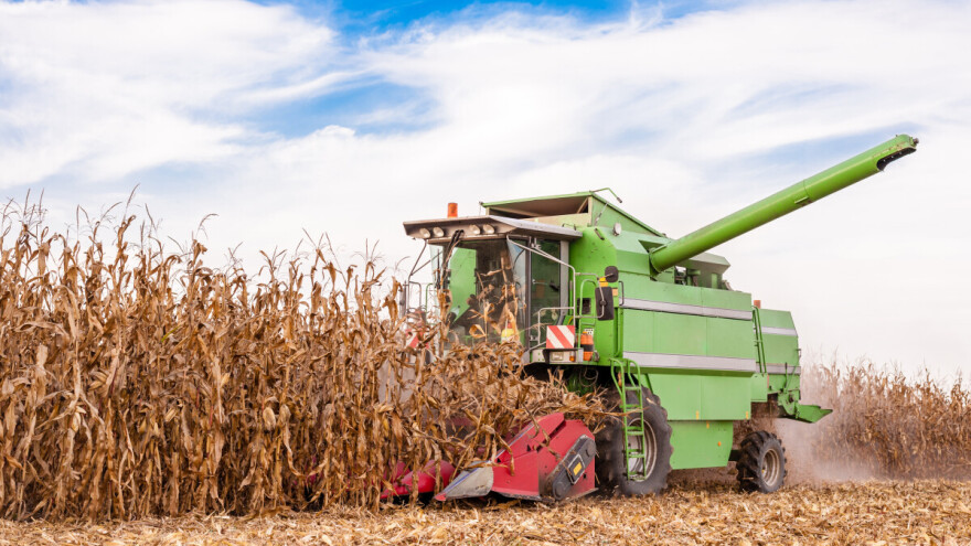 Proizvodnju suncokreta smo povećali - kukuruz, soja i šećerna repa bilježe pad