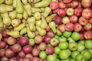Prognosfruit 2024 predviđa pad proizvodnje jabuka, ali ne i kruške