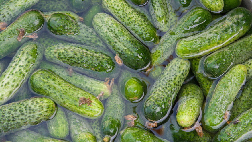 Zašto ne prati krastavce u mašini za sudove?