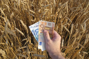 APPRRR: Isplaćena su 83 milijuna eura za izravna plaćanja i IAKS mjere