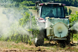 Vinovoj lozi prijete tri bolesti - gdje je bilo obilnih kiša, potrebne nove mjere zaštite
