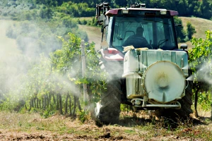 Vinovoj lozi prete tri bolesti - gde je bilo obilnih kiša, potrebne nove mere zaštite