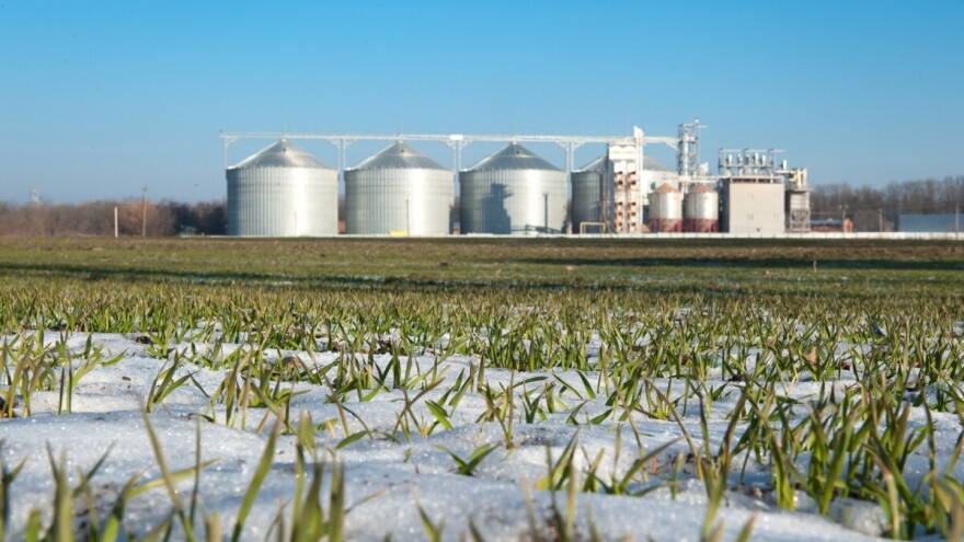 Jesenja sjetva 2025. u FBiH: Blagi rast zasijanih površina, manje ozime pšenice