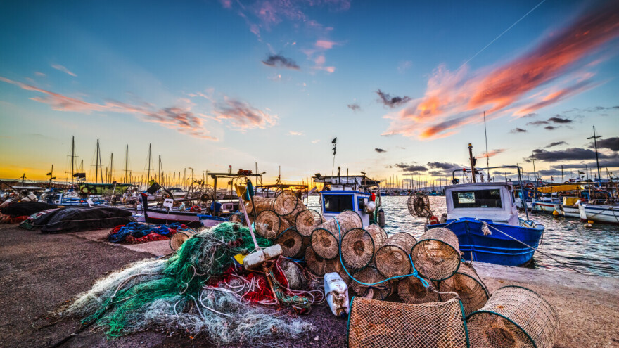 Senzacionalistički dokumentarac koji propituje ekološke posledice ribolova