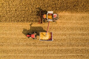 Nova godina mogla bi donijeti značajan rast proizvodnje žitarica i uljarica u Evropi