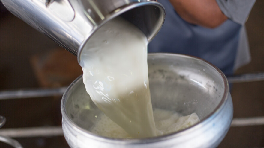 U toku prijavljivanje za premije za mleko za treći kvartal