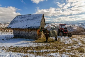 Agroprognoza: Kada planirati radove, a kada očekivati padavine?