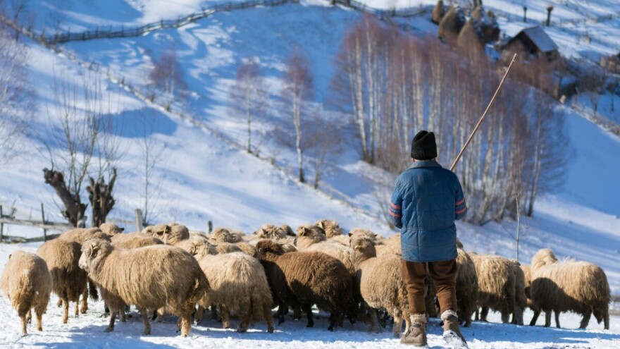 Mraz u jutarnjim satima, ozima žita miruju: Zatopljenje stiže sredinom sedmice