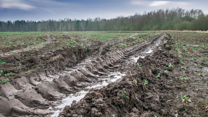 Sačekajte s izlaskom u polja: Postoji opasnost od bujica i poplava