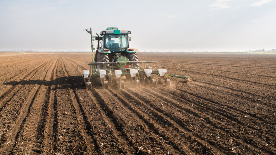 Poljoprivredna gospodarstva lani su koristila 888.000 hektara oranica i vrtova