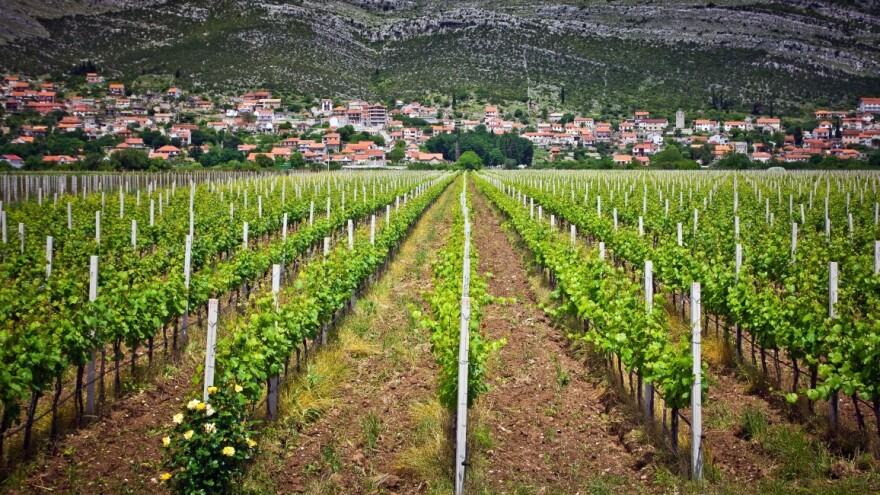 Učlanite se u Vinsku cestu Hercegovine - certificiranu kulturnu rutu Vijeća Europe
