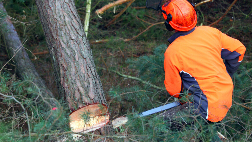 Preko šumske radnice prešao trupac težak 700 kg, spasila se pukom srećom