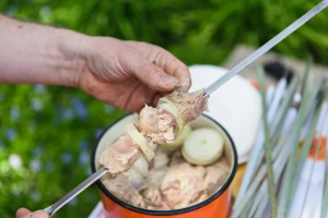Prvomajski roštilj bez drame: Trovanje ne pita da li je praznik, pregledajte meso!