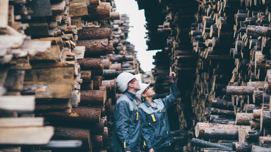 FAO: Globalna trgovina drvnim proizvodima u padu