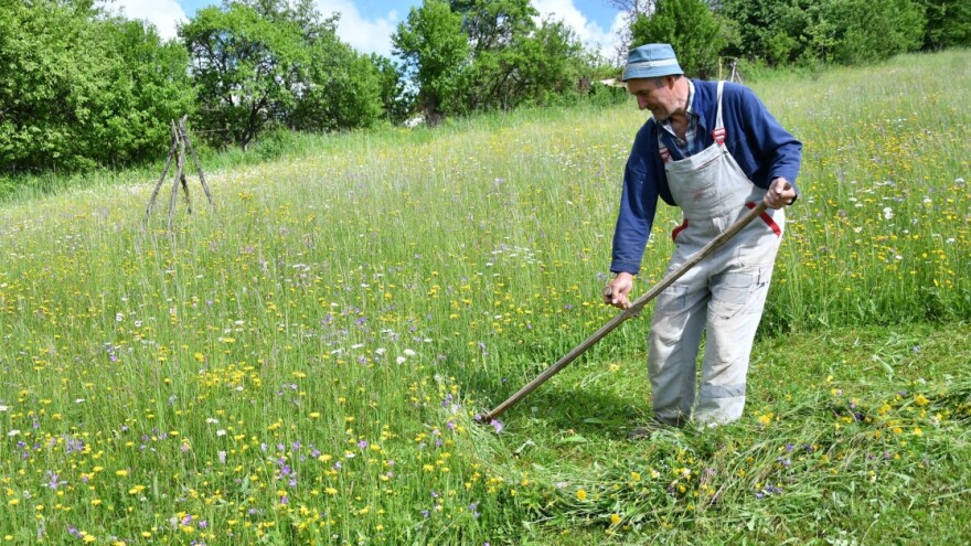 Bez kiše lakši radovi, ali i veća briga za usjeve: Prijeti li suša?