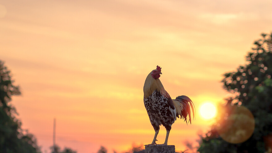 Jesen stigla dunjo moja: Sedmica povljna za zasukati rukave u polju