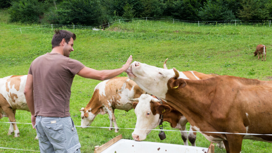 Objavljen je dopunjeni Pravilnik o provedbi izravne potpore i IAKS mjera