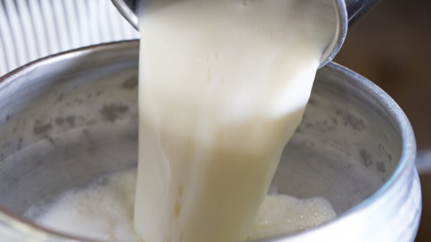 Otvoren javni poziv za premije za mleko za prvi kvartal 2025. godine