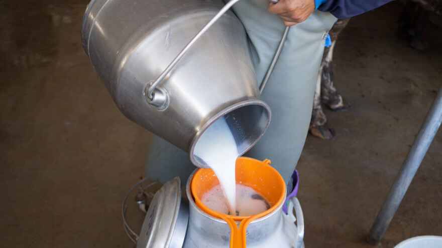 U prosincu je otkupna cijena mlijeka iznosila nešto manje od 50 centi po kilogramu